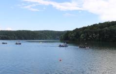 Borovik 3